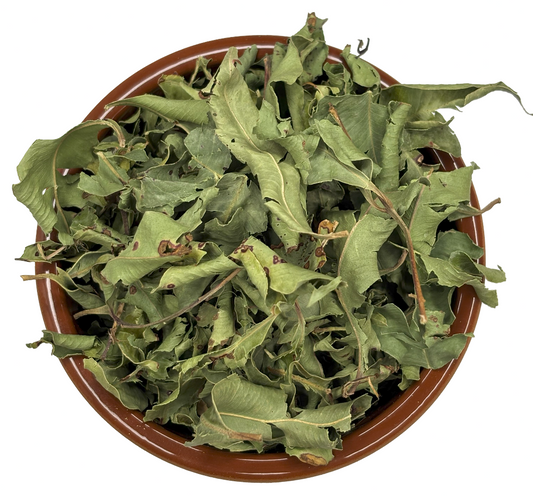 Anise Myrtle - Partial Leaf