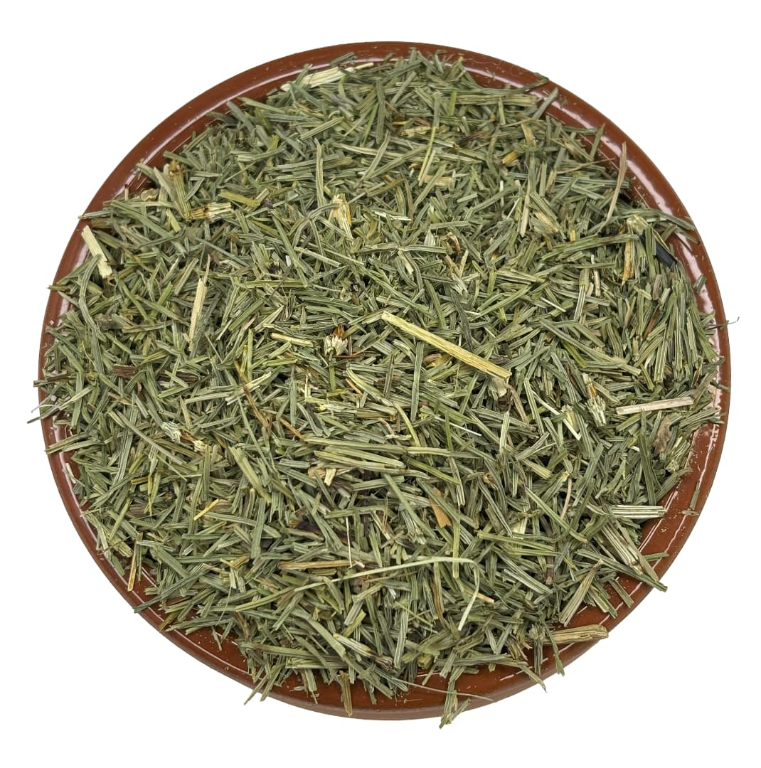 Horsetail Aerials (Shavegrass)