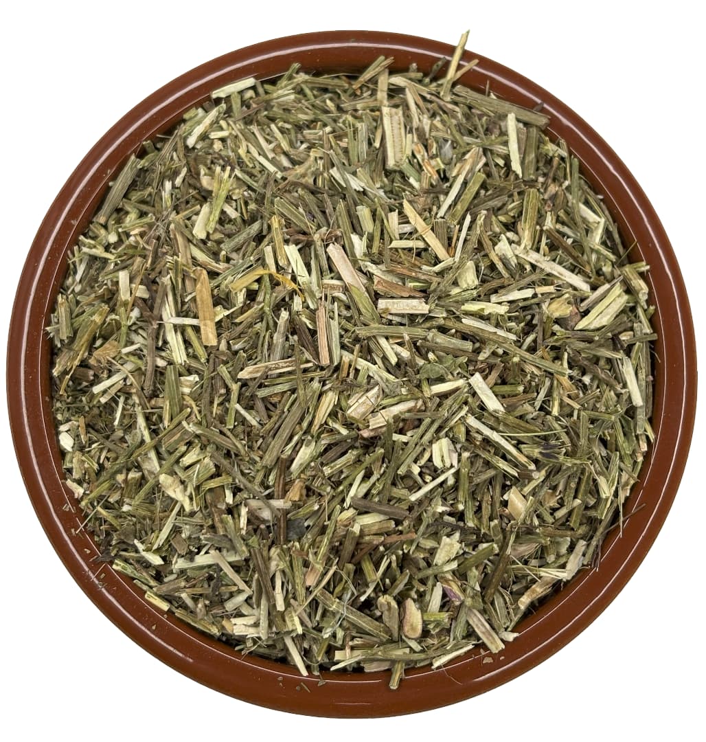 Vervain