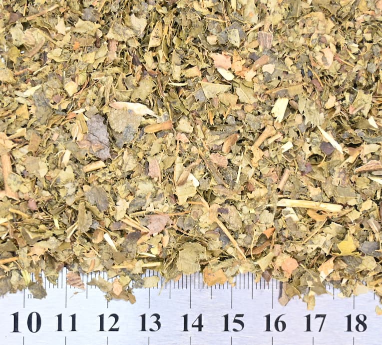 Witch Hazel Herb