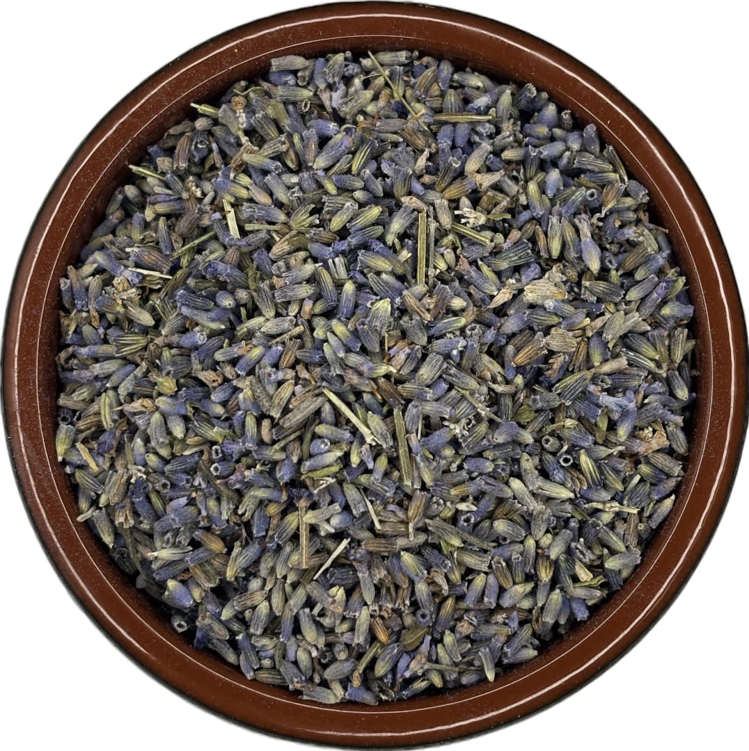 Blue Lavender Flowers