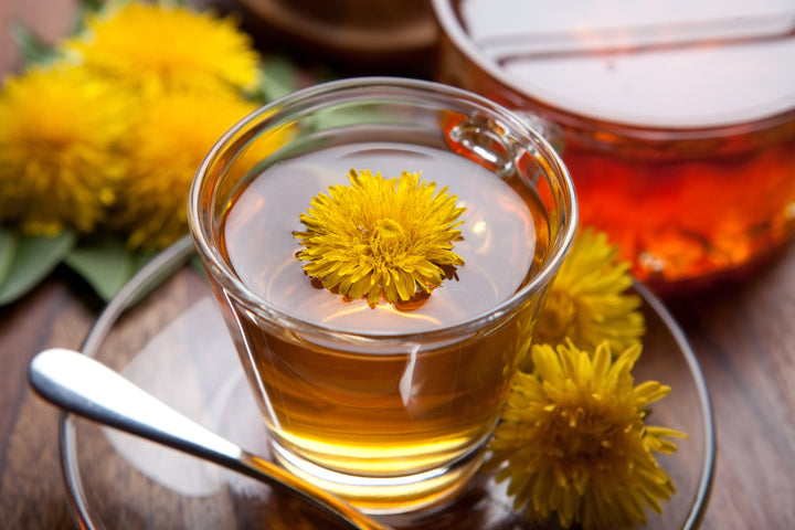 Dandelion Root Guide: Uses, Preparation & Herbal Tea Information
