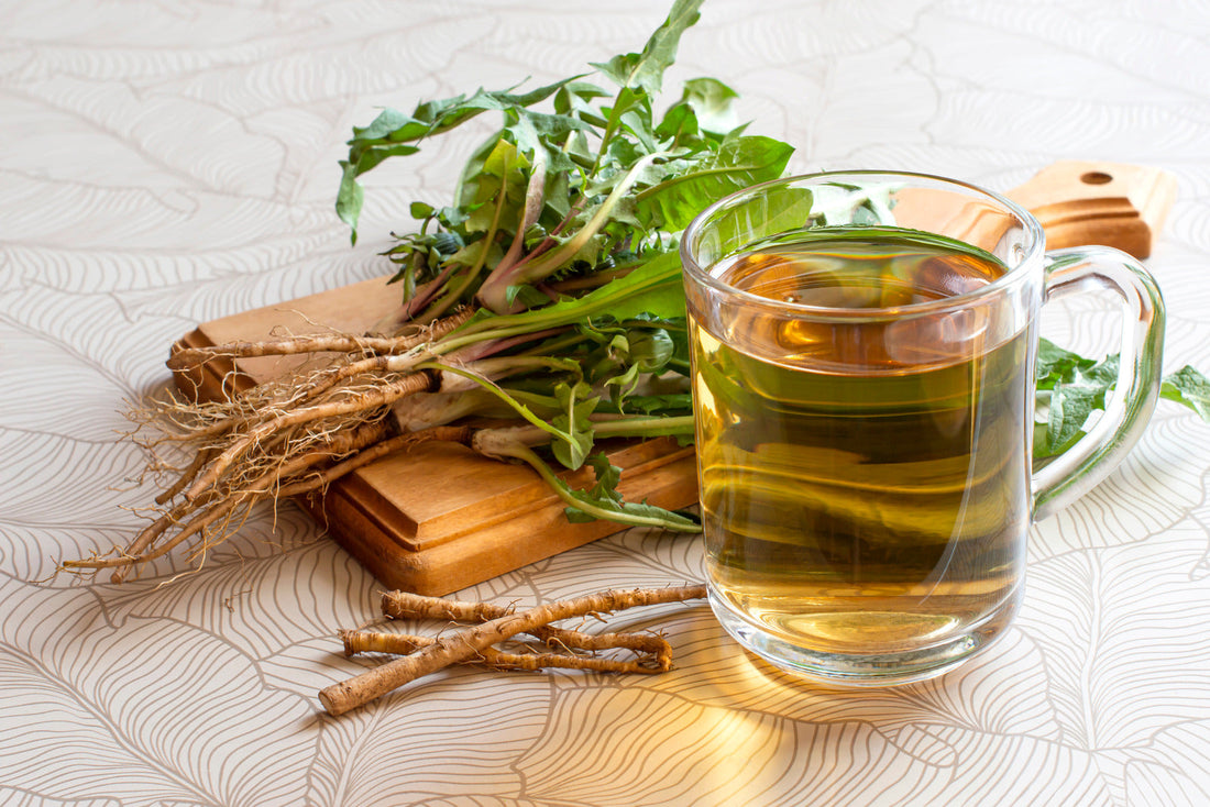 Dandelion Root Tea: Raw vs Roasted & How to Brew It