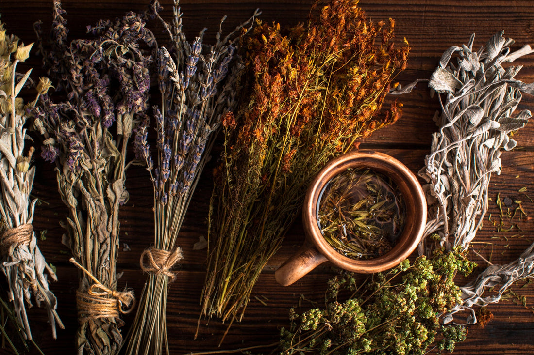Organic Herbs Australia: Where to Buy Quality Herbs Online For Everything From Wellness to Flavour