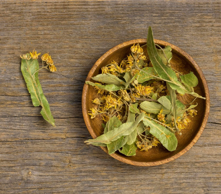 Mullein: A Time-Tested Herb for Wellness