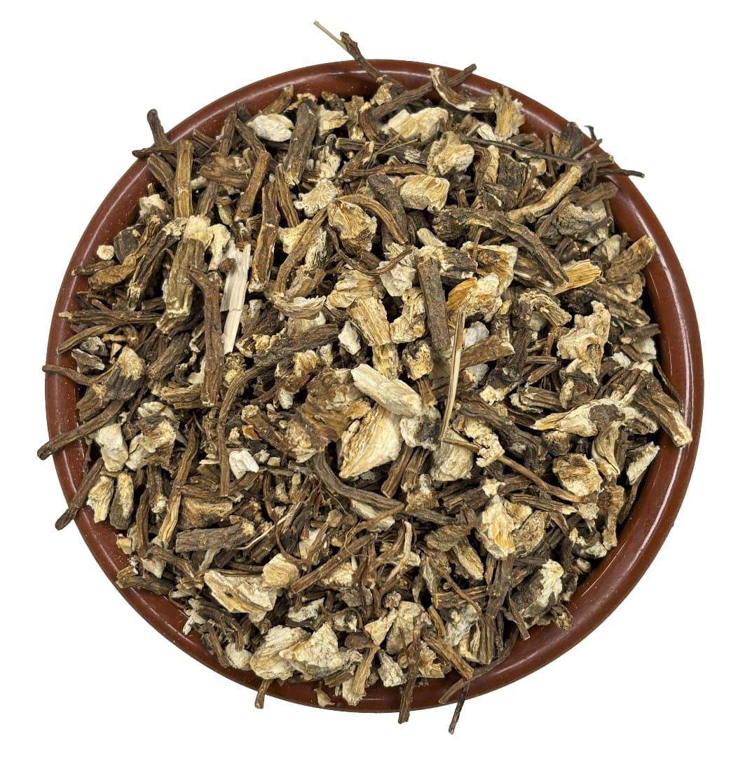 Angelica Root