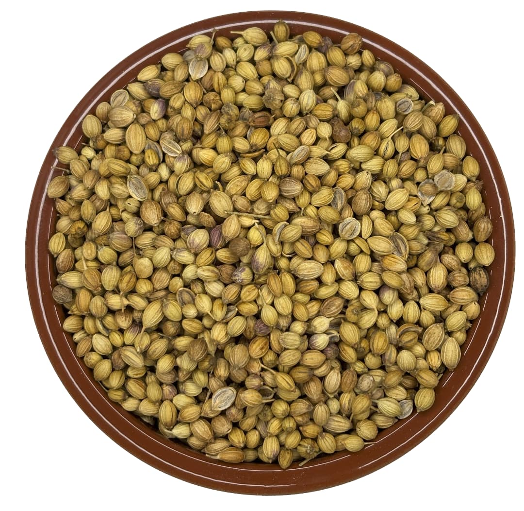 Coriander Seeds