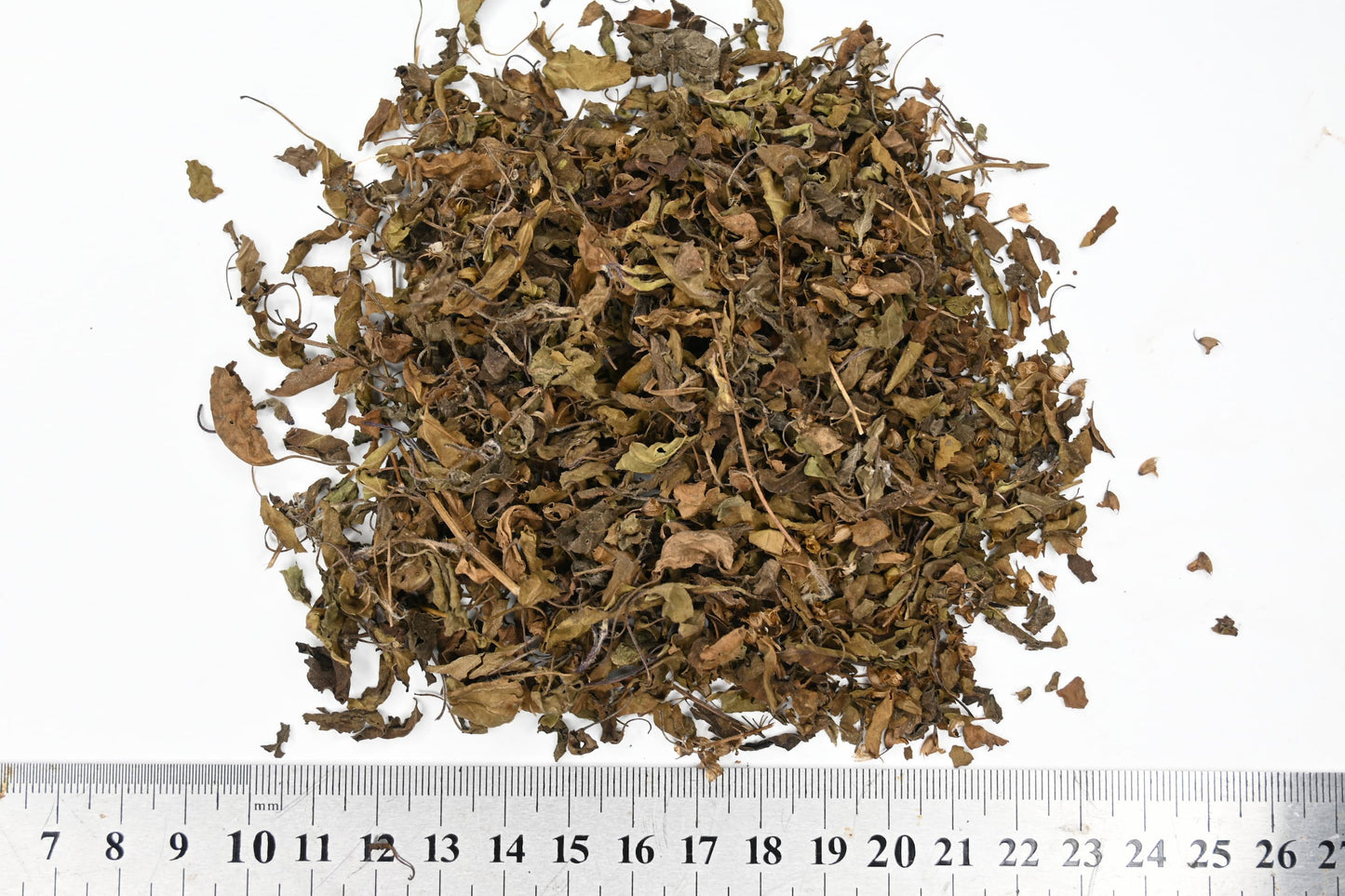 Tulsi - Rama (Holy Basil) - Premium Organic