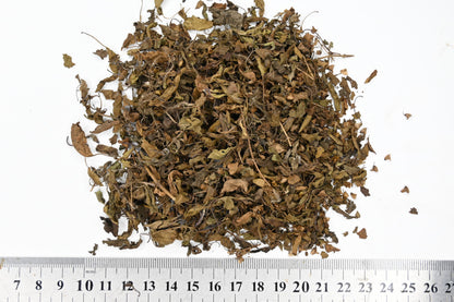 Tulsi - Rama (Holy Basil) - Premium Organic