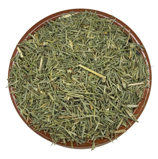 Horsetail Aerials (Shavegrass)