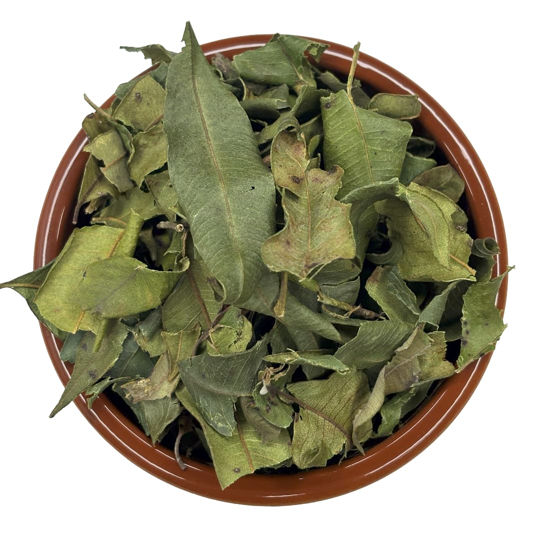 Lemon Myrtle - Partial leaf