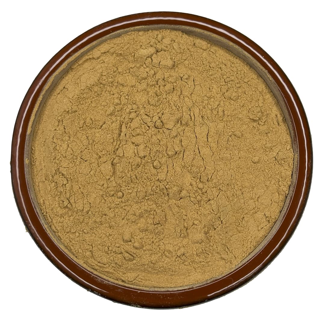 Lions Mane Mushroom Powder - Organic