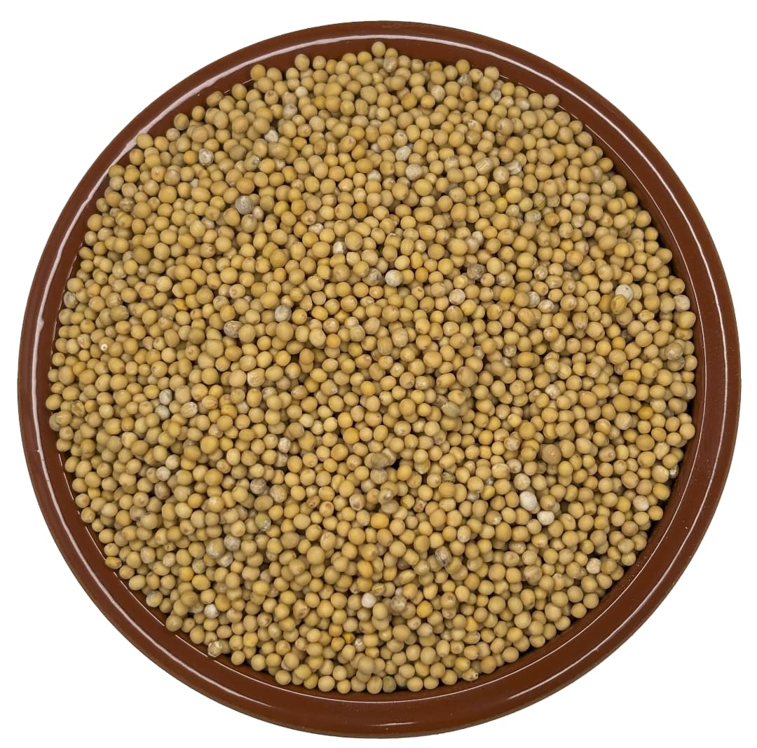 Mustard Seed Yellow