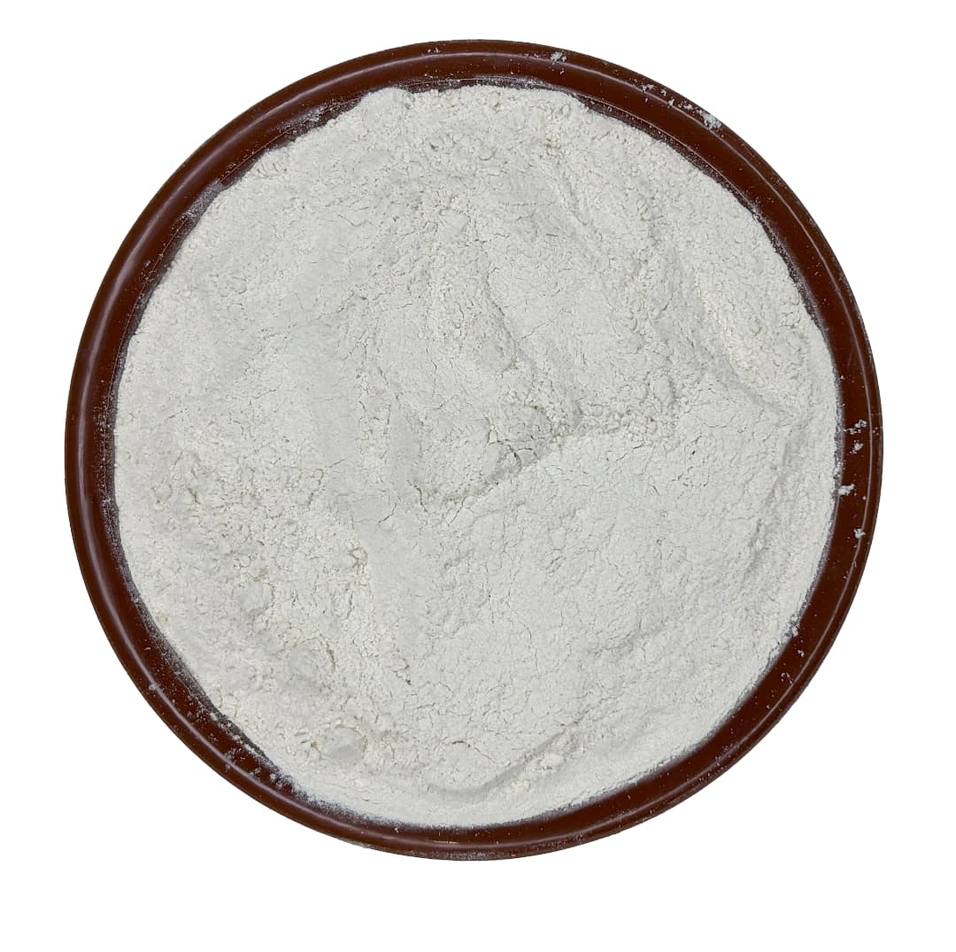 Onion Powder - Organic