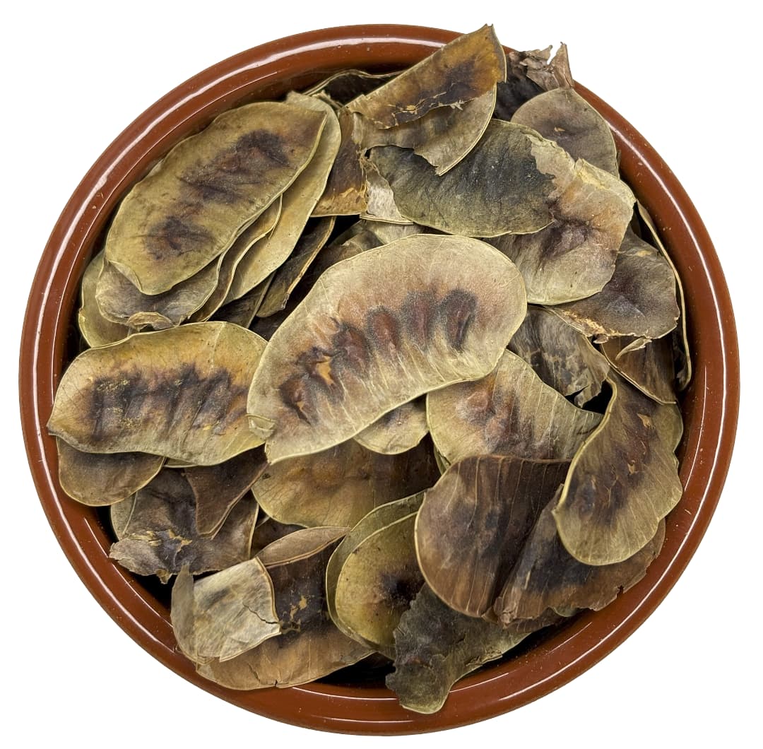 Senna Pods