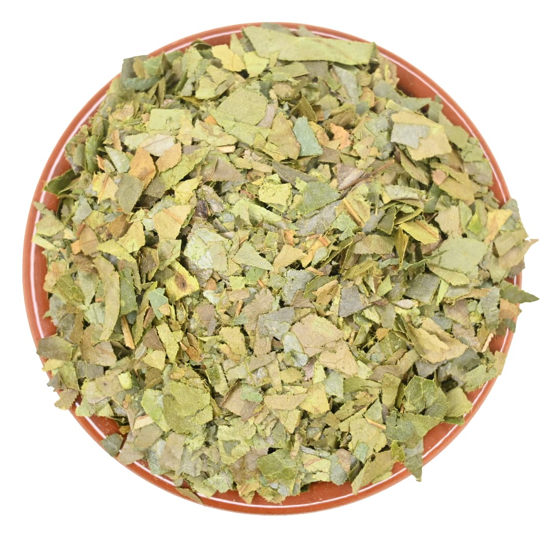 Soursop Leaf Tea Organic
