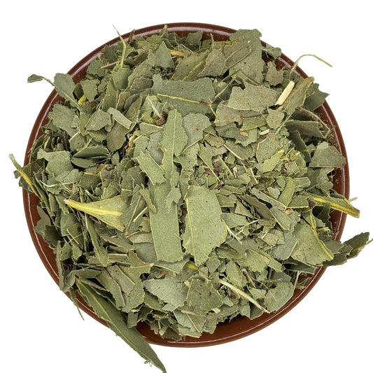 Tasmanian Blue Gum