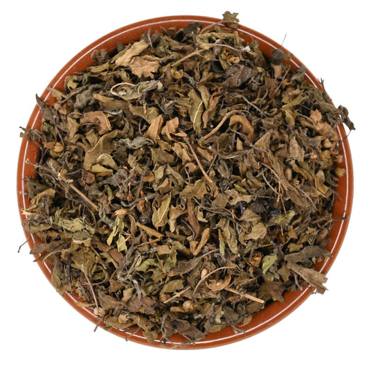 Tulsi - Rama (Holy Basil) - Premium Organic