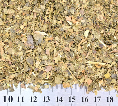 Witch Hazel Herb